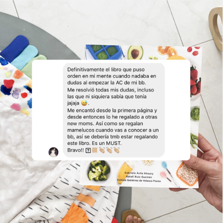 ABC de la Alimentación Complementaria 6 Captura de pantalla 2025 09 17 a las 22.37.43