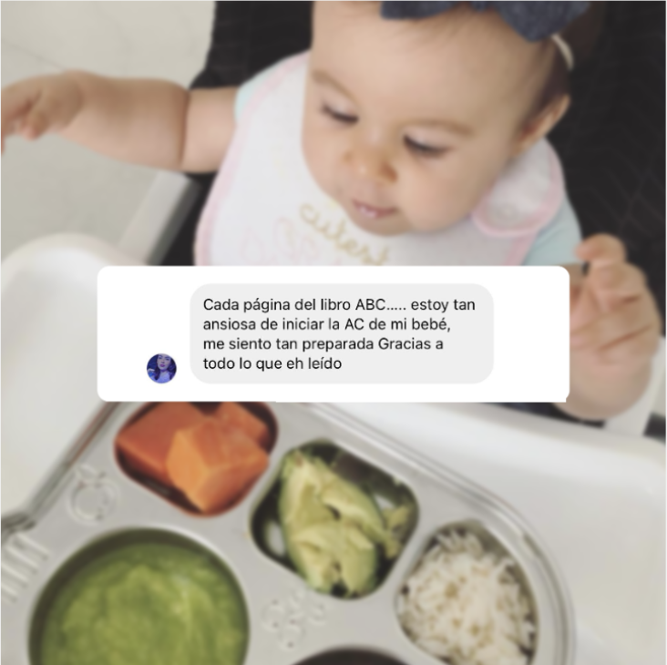 ABC de la Alimentación Complementaria 5 Captura de pantalla 2025 09 17 a las 22.37.49