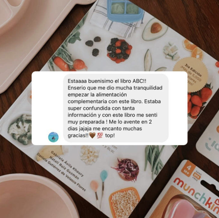 ABC de la Alimentación Complementaria 7 Captura de pantalla 2025 09 17 a las 22.37.59